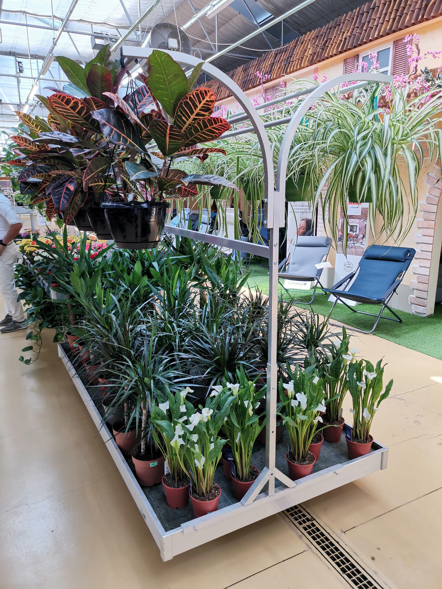 Mondo Verde Garden Center, restyling dell'area dedicata alle piante da
