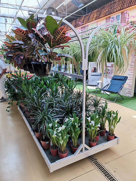 Mondo Verde Garden Center, restyling dell'area dedicata alle piante da interno