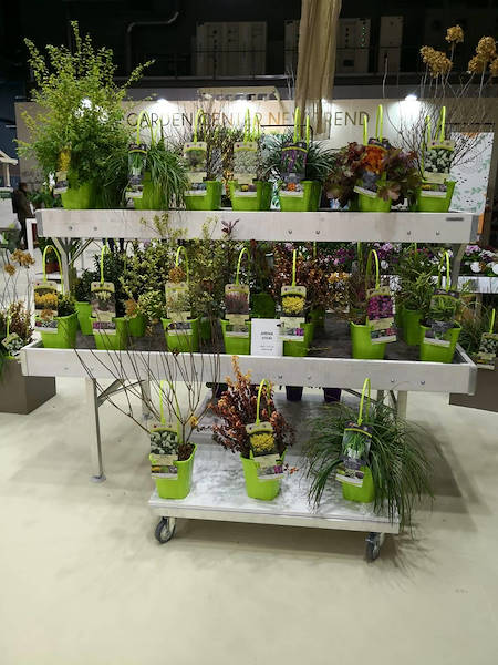 Garden Center New Trend