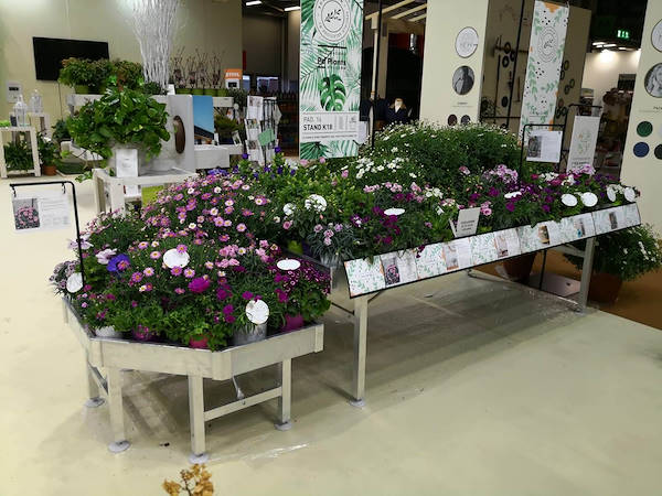 Garden Center New Trend