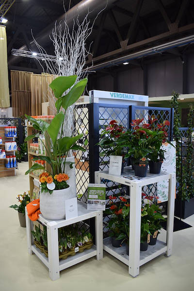 Garden Center New Trend