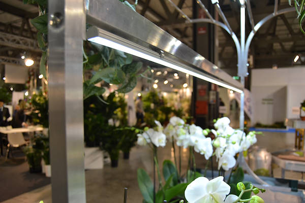 Galería stand Orlandelli