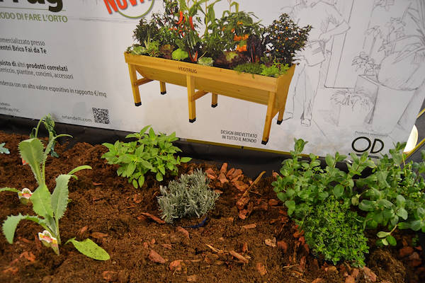 Galería stand Orlandelli