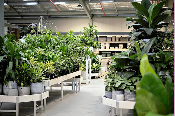 Neuer Garten Center Flower Power“