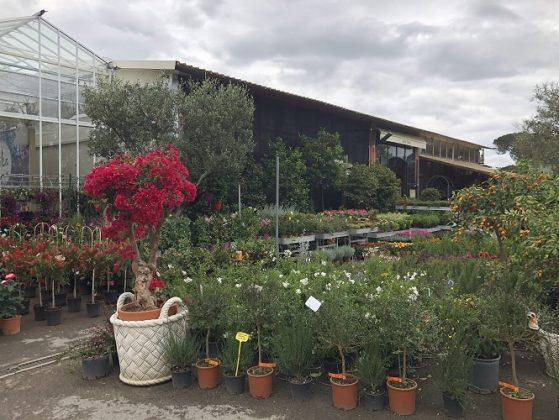 Neuer Look für Erika Vivai Mancinelli