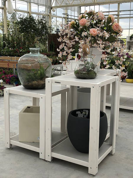 Neuer Look für Erika Vivai Mancinelli