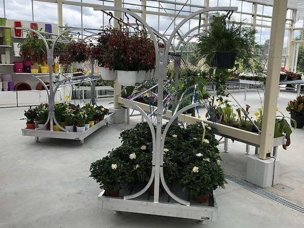 Neuer Look für Erika Vivai Mancinelli