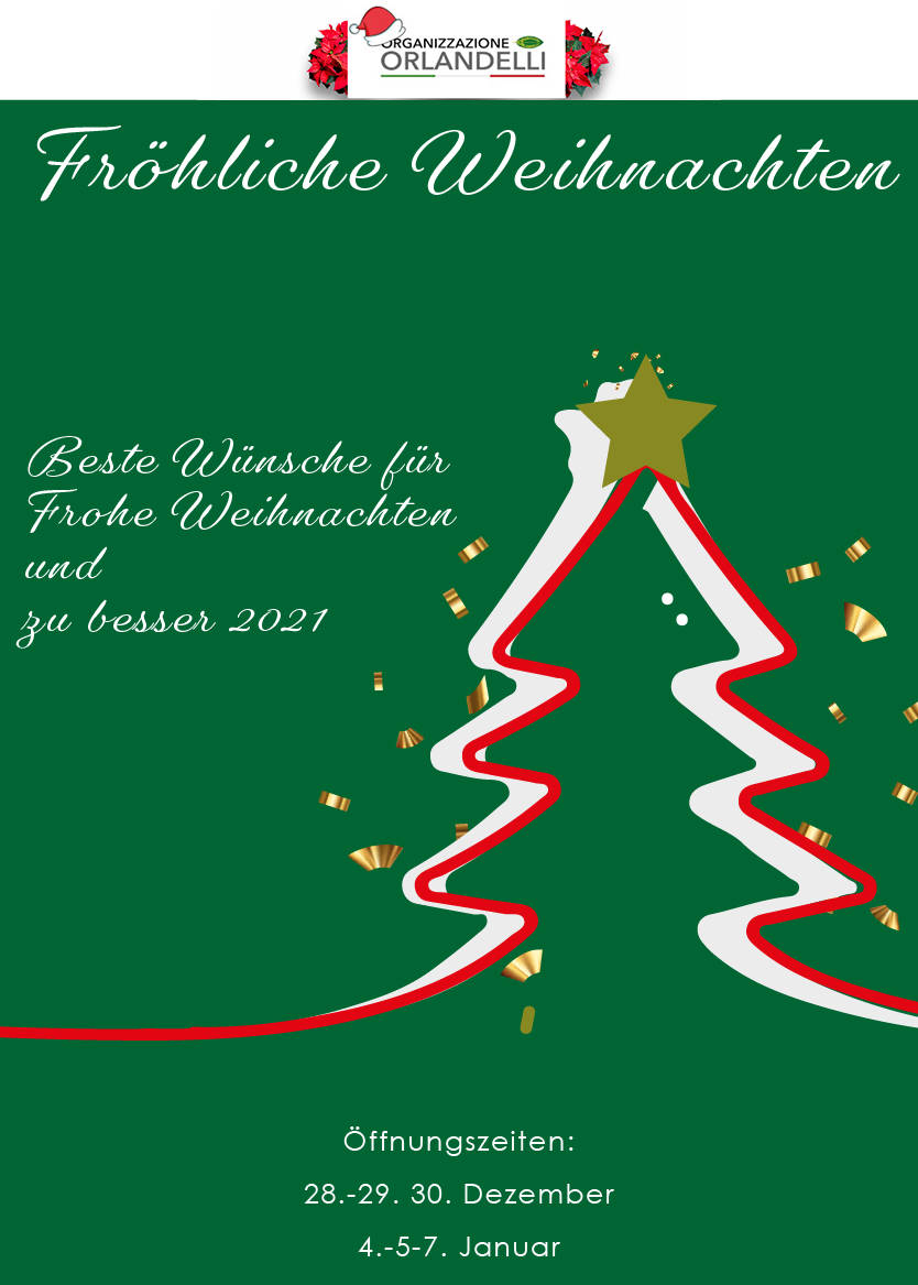 Weihnachtsgrußkarte Orlandelli 2020