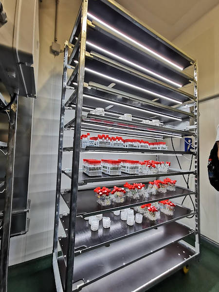 New DC trolleys with C-LED lighting kit