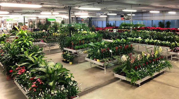 Legnaia Vivai  مفهوم المعرض الجديد ل