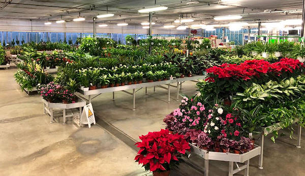 New exhibition concept for Legnaia Vivai