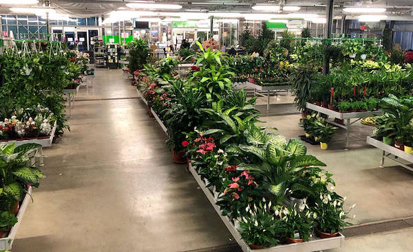 New exhibition concept for Legnaia Vivai