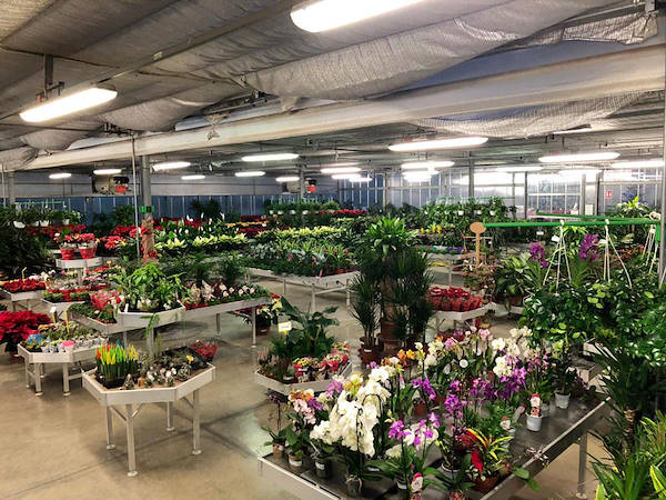 Legnaia Vivai  مفهوم المعرض الجديد ل