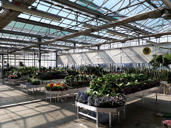 Legnaia Vivai  مفهوم المعرض الجديد ل