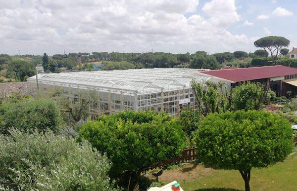 Erika Vivai           مظهر جديد لـ