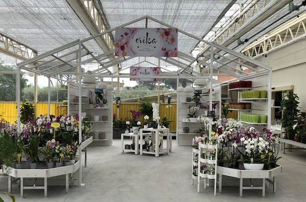 Erika Vivai           مظهر جديد لـ