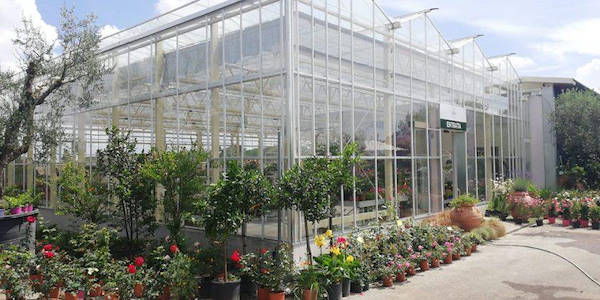 New Look for Erika Vivai