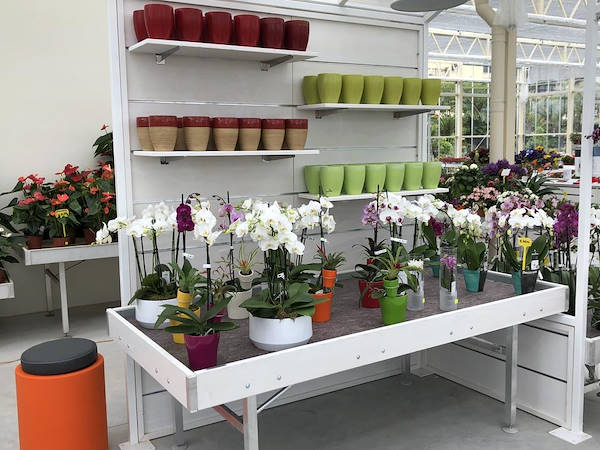 Erika Vivai           مظهر جديد لـ