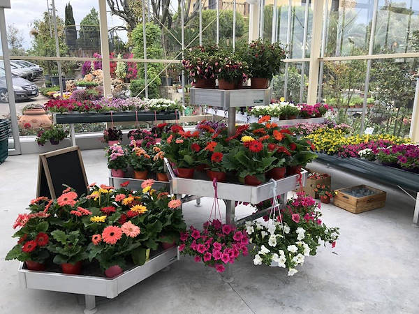 Erika Vivai           مظهر جديد لـ