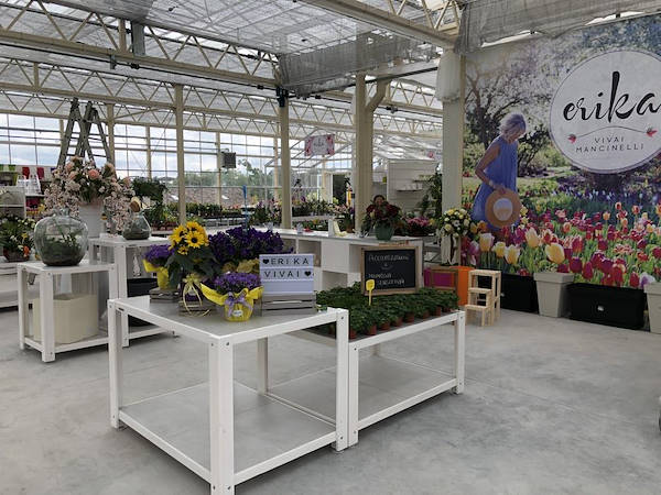 Erika Vivai           مظهر جديد لـ