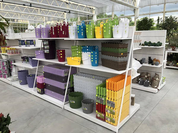 New Look for Erika Vivai