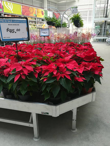 تم افتتاح مراكز سوديماك الجديدة للعمل بنفسك مؤخرًا في المكسيك