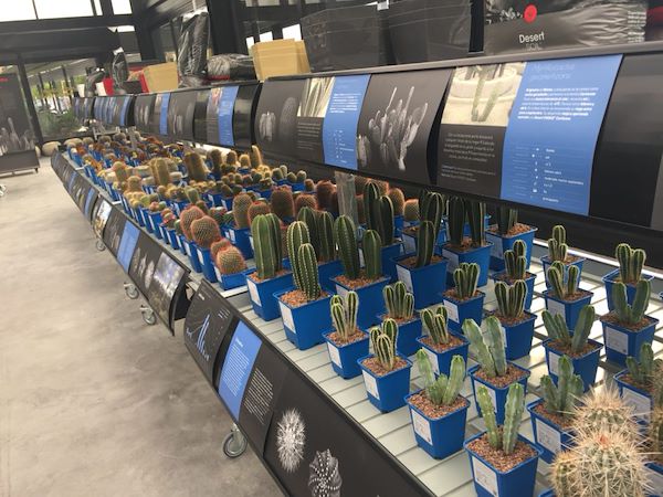 Desert City, il deserto più grande di Madrid