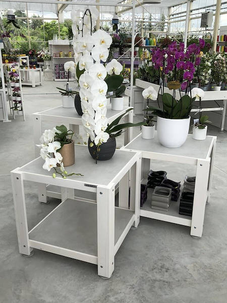 Nouveau look pour Erika Vivai Mancinelli