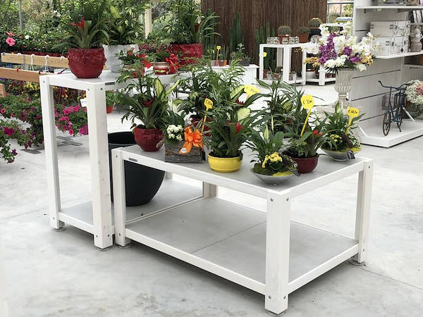 Nouveau look pour Erika Vivai Mancinelli