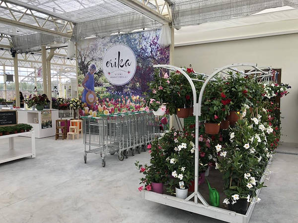 Nouveau look pour Erika Vivai Mancinelli