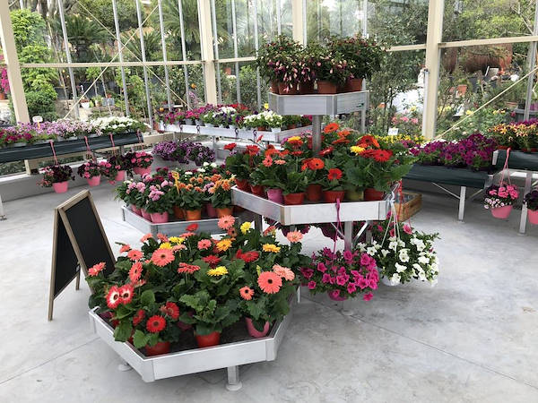 Nouveau look pour Erika Vivai Mancinelli