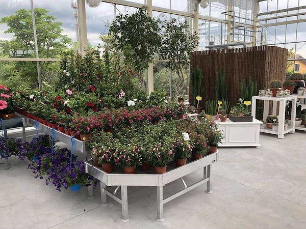 Nouveau look pour Erika Vivai Mancinelli