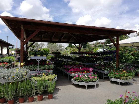 Nuevo look para Erika Vivai Mancinelli