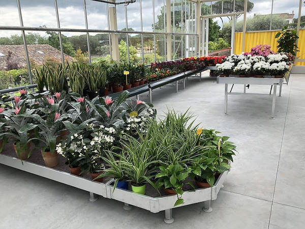 Nuevo look para Erika Vivai Mancinelli