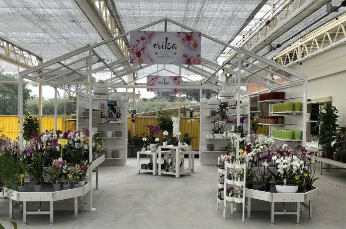 Nuovo look per Erika Vivai Mancinelli