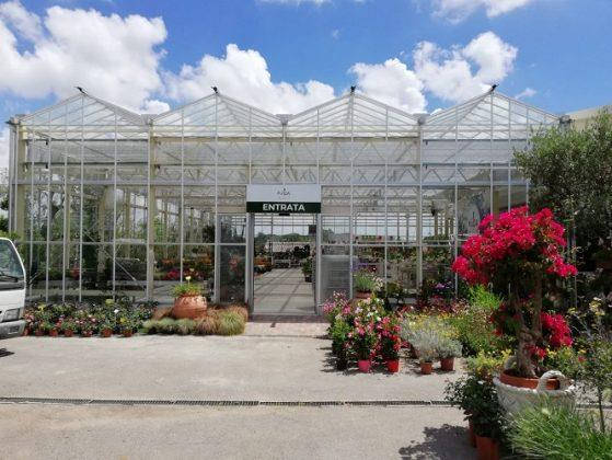 Nuovo look per Erika Vivai Mancinelli