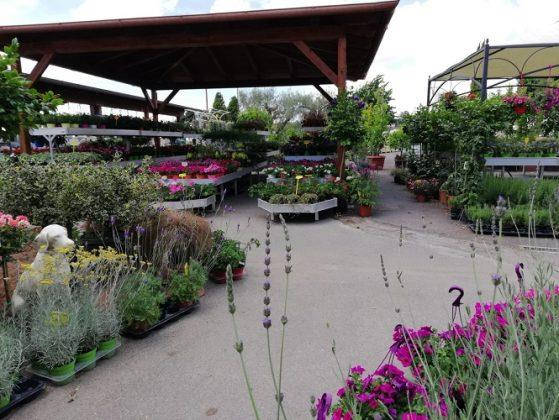 Nuovo look per Erika Vivai Mancinelli