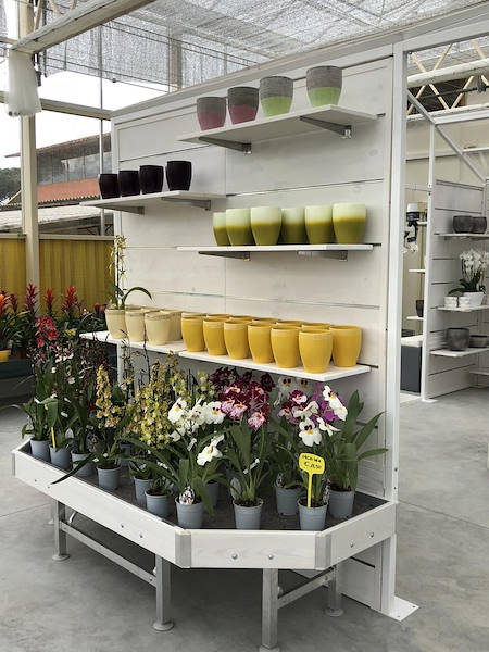 Nuovo look per Erika Vivai Mancinelli