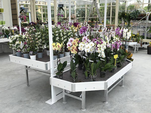 Nuovo look per Erika Vivai Mancinelli