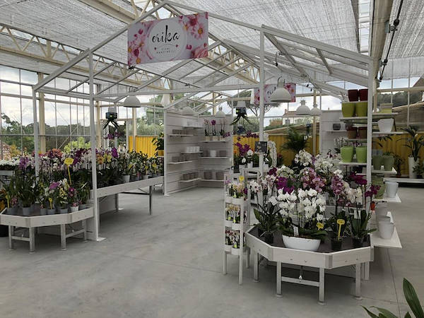 Nuovo look per Erika Vivai Mancinelli