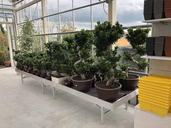 Nuovo look per Erika Vivai Mancinelli