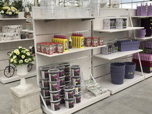 Nuovo look per Erika Vivai Mancinelli