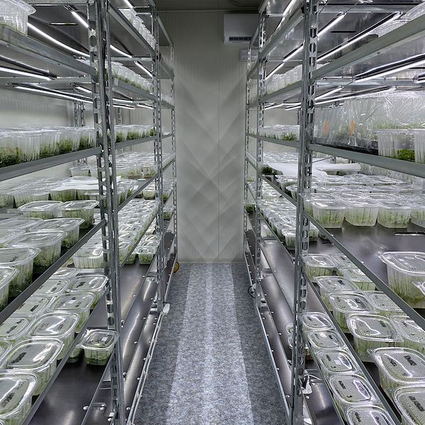 DC trolley with led lights kit for GERMINATION AND GRAFTING