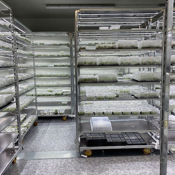 Carrito DC con kit de iluminación led para GERMINACIÓN E INJERTO