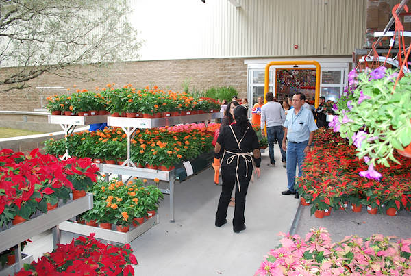 Gallery Home Depot Messico