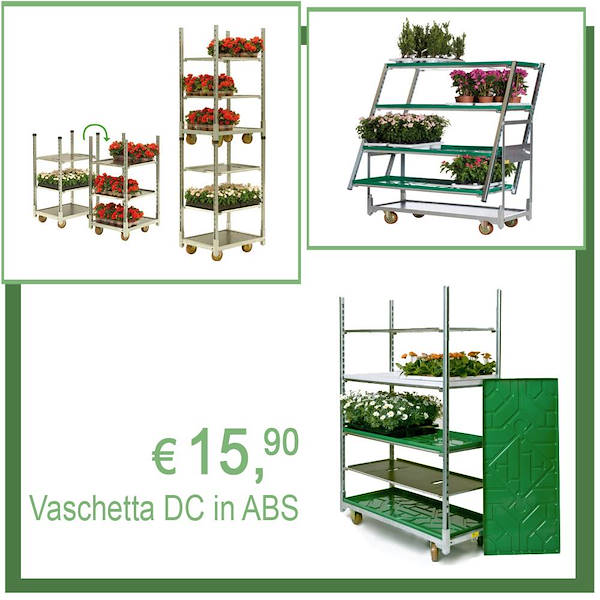 Organizza la Primavera