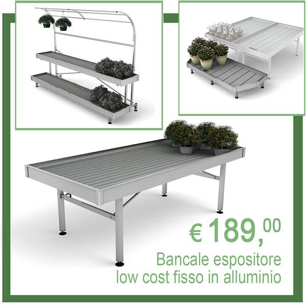 Organizza la Primavera