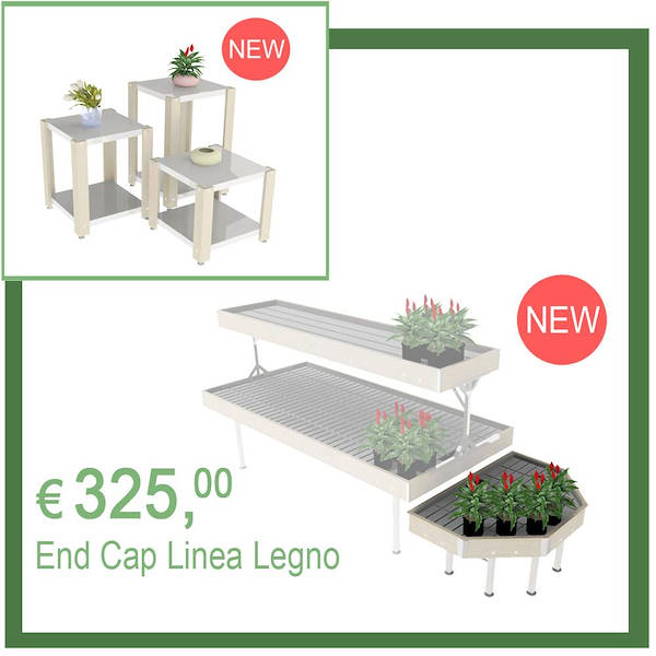 Organizza la Primavera