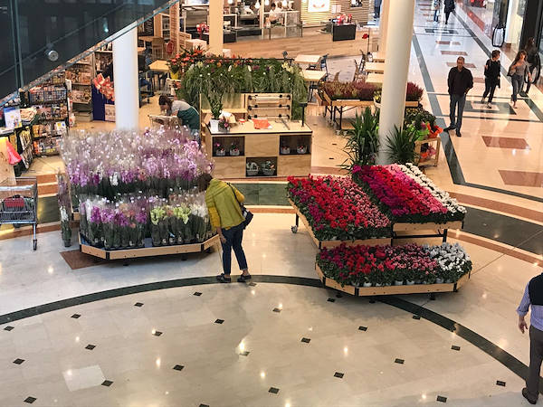 Ausstellungsinsel in der Handelsgalerie 