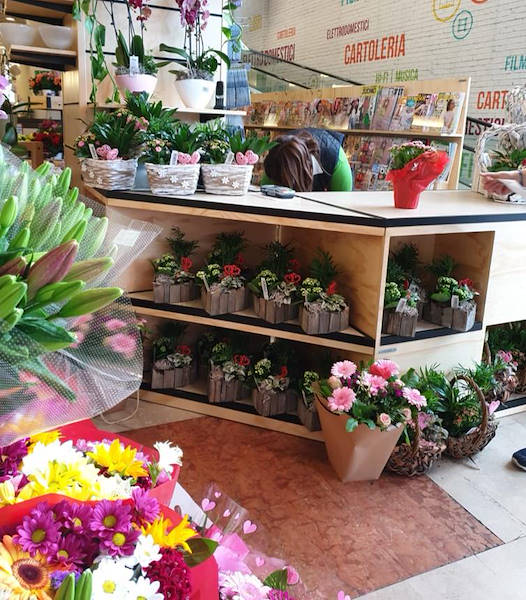 AMOR Linie für den Blumenladen-Zeitungskiosk 